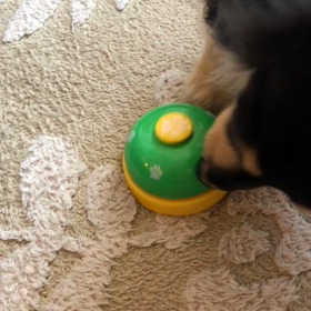 一日一回の画像