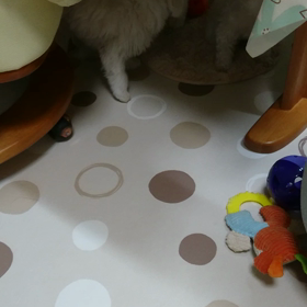 我が家の節分の画像