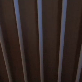 あおちの『ばあ～～～』の画像