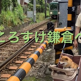 紫陽花寺の画像