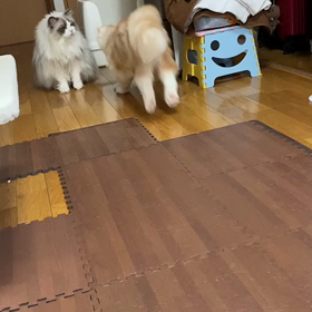 ムカつくゾ(￣▽￣)の画像