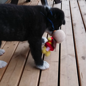 晴れ間が見えたあいだに☺の画像