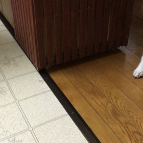 今朝の様子の画像