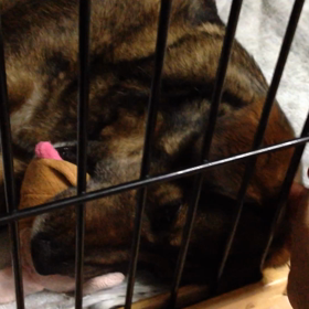 頭頂部ならイイのねの画像