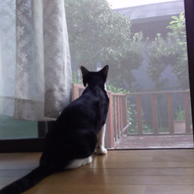 瀬織津姫様からのメッセージの画像