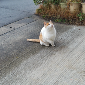 まだ感じ掴めない‼️の画像