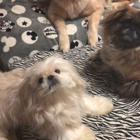 お疲れ〜の画像