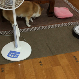 ほりほりの画像