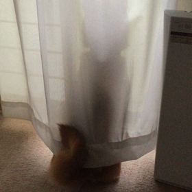 外で。。。の画像