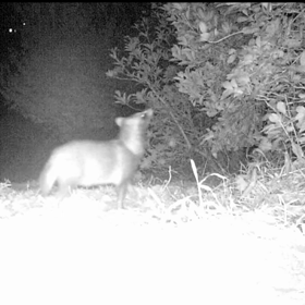 すぎぴたんの事件簿シーズン２　４０話の画像