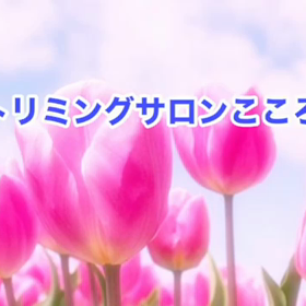 4月　〜スライドショー〜の画像