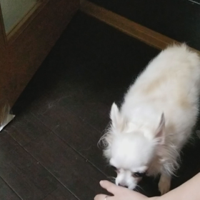 朝はご機嫌の画像