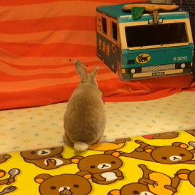 落ち着きたまえの画像