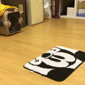 チョビ編。の画像