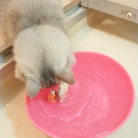 術後１年検診の画像