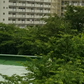 わぁー梅雨入りです。の画像