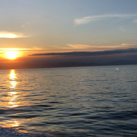 sustainability  持続可能性の画像