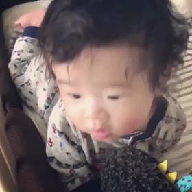 ども！しゃっちょす！の画像