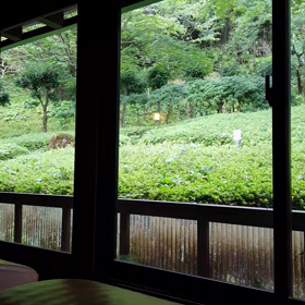 昨日の続きで。。。の画像