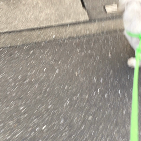 昭和が似合うの画像