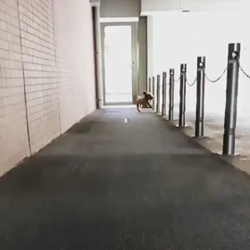 ジャンプ力激しめ女子の画像