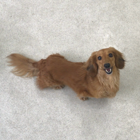 ♪プレイルーム動画♪①の画像