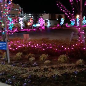 実家に手紙投函後、歩いてたらの画像