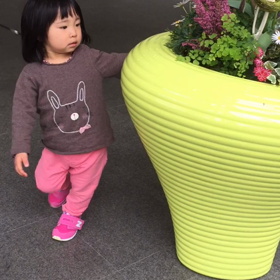 変なスキップの正体の画像