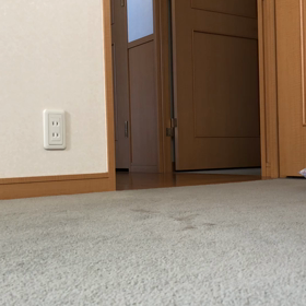 主人は主人でお婿さんはお婿さん。デール不意打ち。の画像