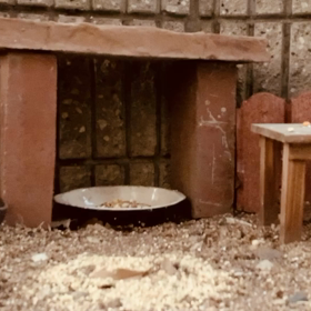 今朝の小庭のタロウとショータ。の画像