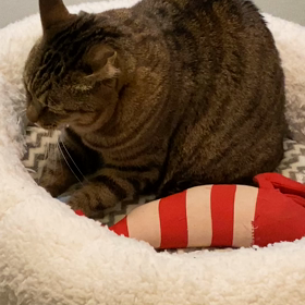 さちのフミフミの画像