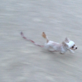 自由満喫の画像