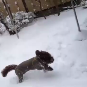 ムービー！！の画像