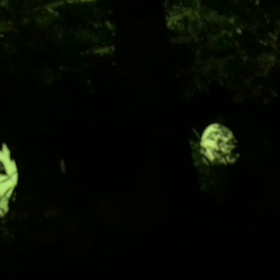 下鴨神社イベント球体動画の画像