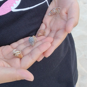 ひぃーーーー！！(゜ロ゜ノ)ノの画像