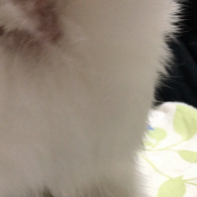 涼しい〜の画像