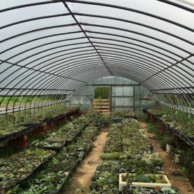 ”展示会開催決定〜♪   山口県  下関FEJフラワースクール&ショップ  プリザーブドフラワ”の画像