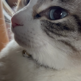 色々探すねーの画像