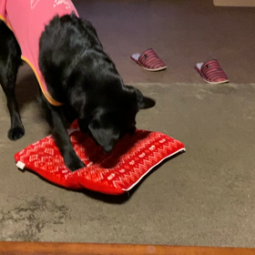 ナツアキ元気です❤️の画像