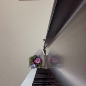 お花の画像