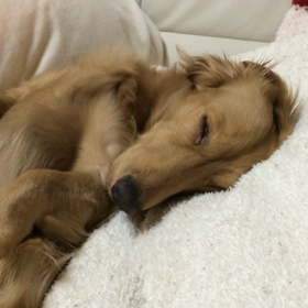 ☆動画2回目☆の画像