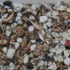 3月7日晴れの画像