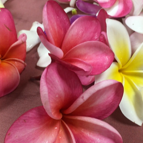 Big Island Making Lei a t Konaの画像