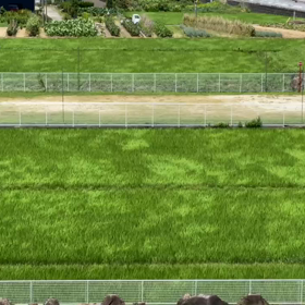 風の見える風景の画像