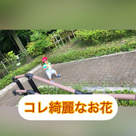 そろそろ卒業しないといけない事の画像