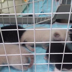 そろそろ１ヶ月の画像