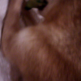 あんたもかよ❗の画像