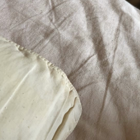 清春ウけ悪魔の画像