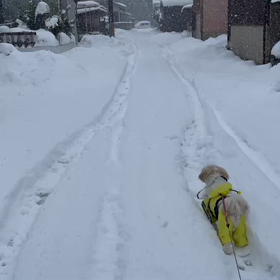 2月ですの画像