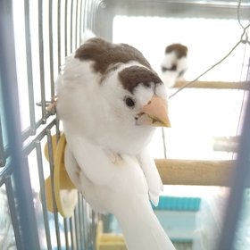 わからない独り言の画像